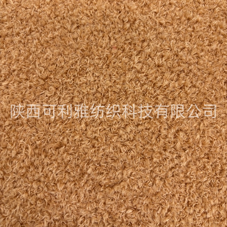 Velvet Curly Wool Long-Haired Teddy Bear Fabric 