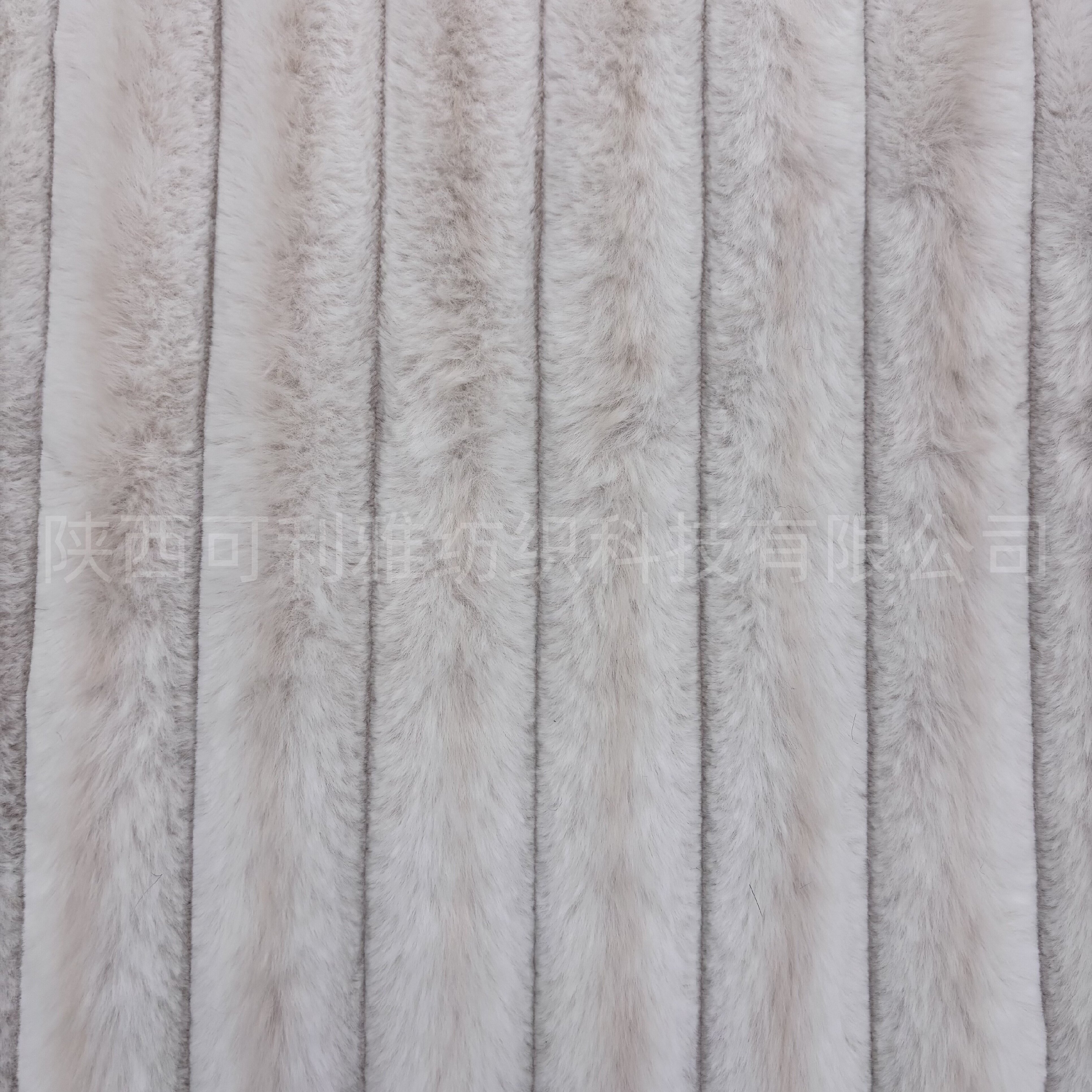 微信图片_20251202152910_290_7