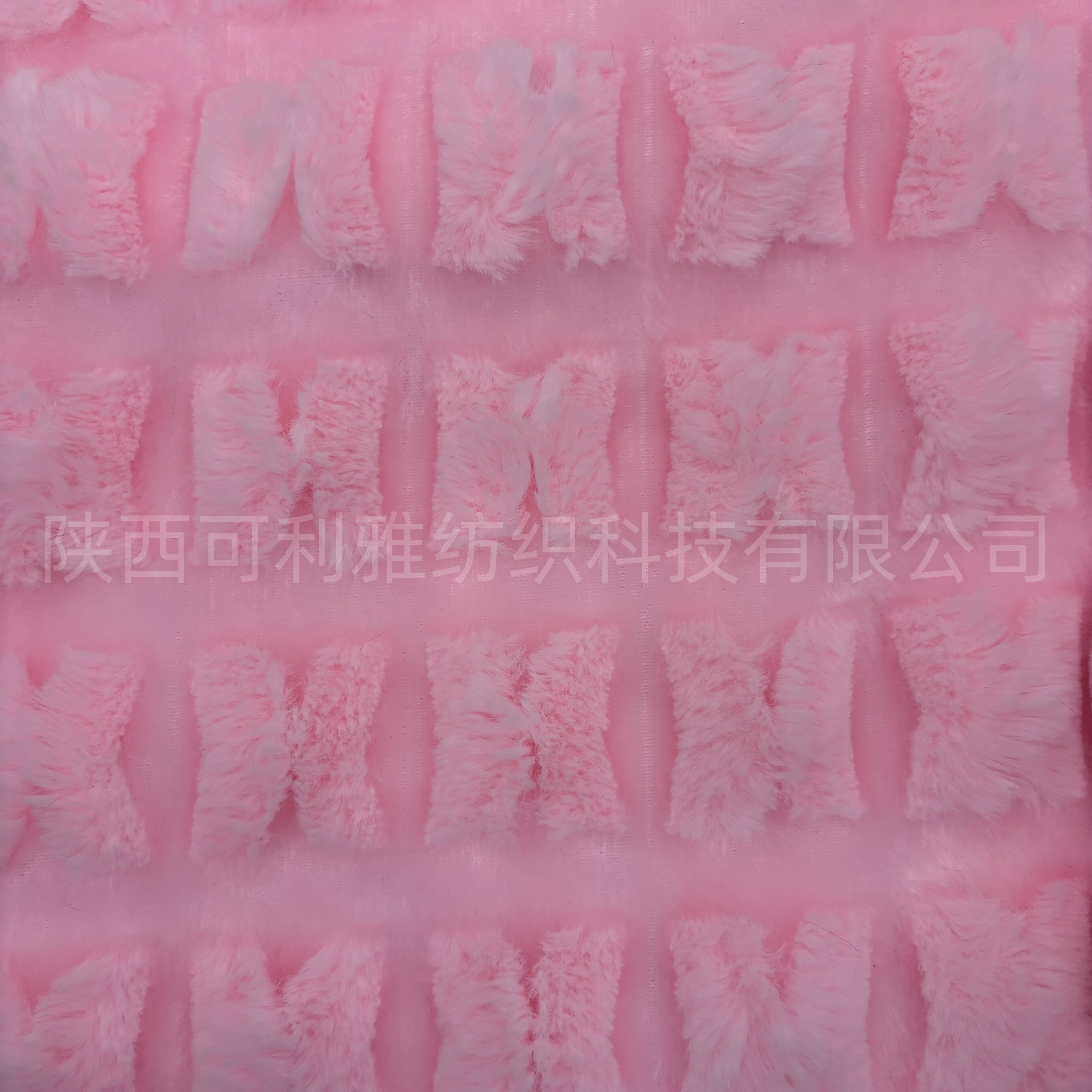 微信图片_20251202152951_297_7