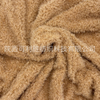 Velvet Curly Wool Long-Haired Teddy Bear Fabric 